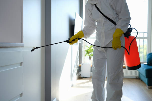 Best Mold Testing  in Shenandoah, TX