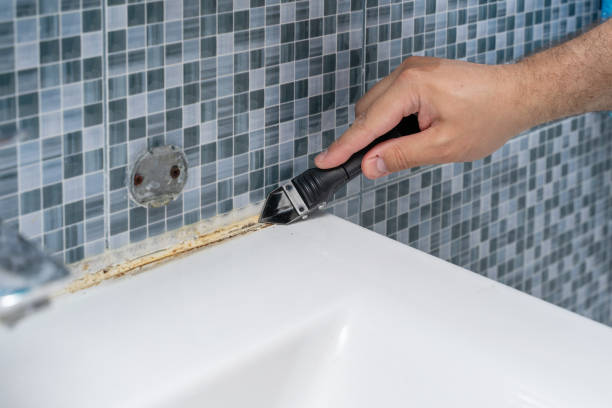 Best Mold Remediation  in Shenandoah, TX