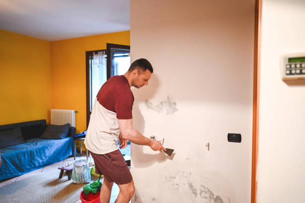 Mold Testing and Removal in Shenandoah, TX