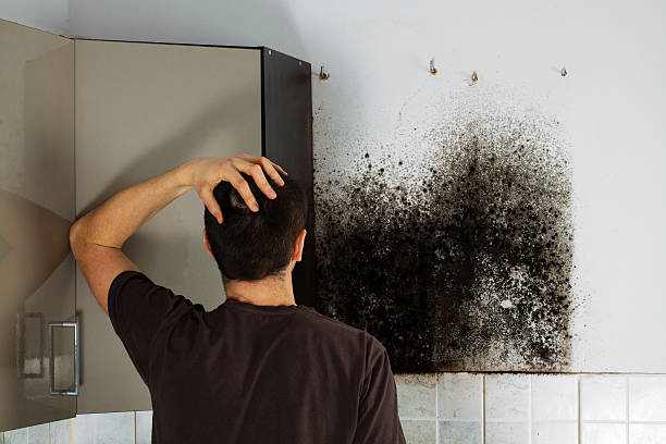  Shenandoah, TX Mold Removal Pros